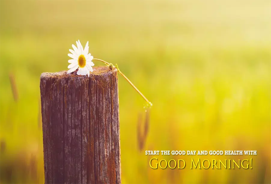 Good Morning 3D Images APK for Android Download