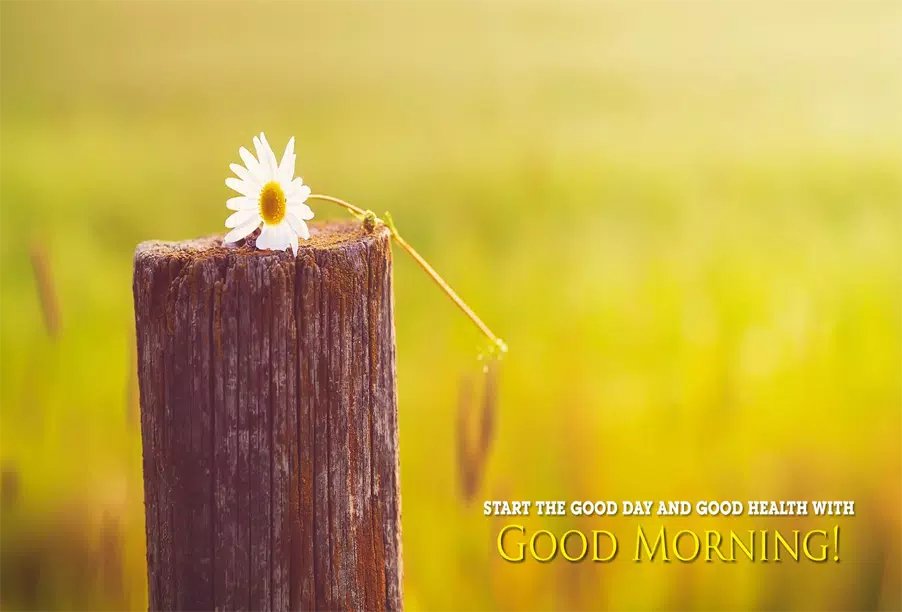 Good Morning 3D Images APK for Android Download Good Morning 3D Images APK for Android Download
