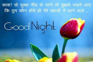 Hindi Good Night Wishes पोस्टर
