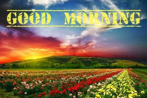 Nature Morning Images اسکرین شاٹ 1