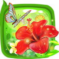 Blossom Garden