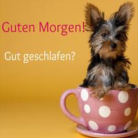 Guten Morgen wünscht 스크린샷 2