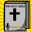 Audio Bible Offline: Matthew APK