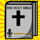 Audio Bible Offline: Num. 1-18 APK
