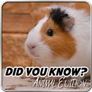 Did You Know? Animal Edition APK