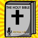 Audio Bible Offline : Job APK