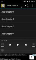 Audio Bible Offline : Job captura de pantalla 3