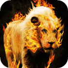 Blazing Lion Live WP ícone