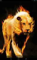 Blazing Lion Live WP-poster