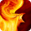 Fiery Predatory Bird Live WP