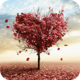 Hearty Tree Live WP icône