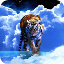 APK Tiger in the Sky Live WP