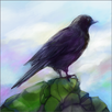 Gathering Sky APK
