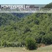 Monteverde, fede e archeologia