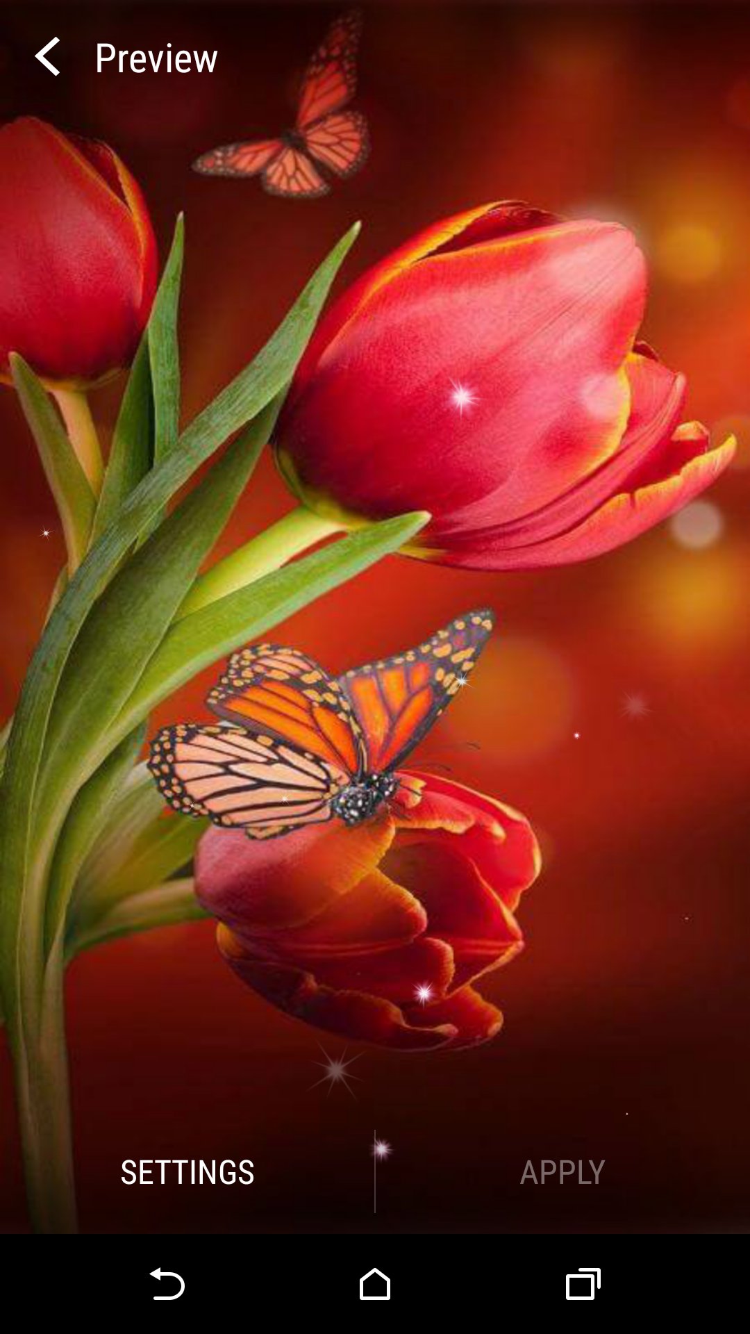 Flowers Live Wallpaper APK للاندرويد تنزيل