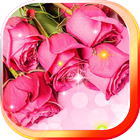 Pink Rose Live Wallpaper-icoon