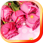 Pink Rose Live Wallpaper biểu tượng