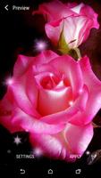 Pink Rose Live Wallpaper Affiche