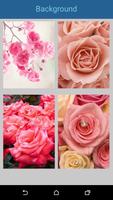 Pink Rose Live Wallpaper syot layar 2