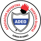 ADEO icon