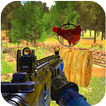 Chicken Shooter 2017