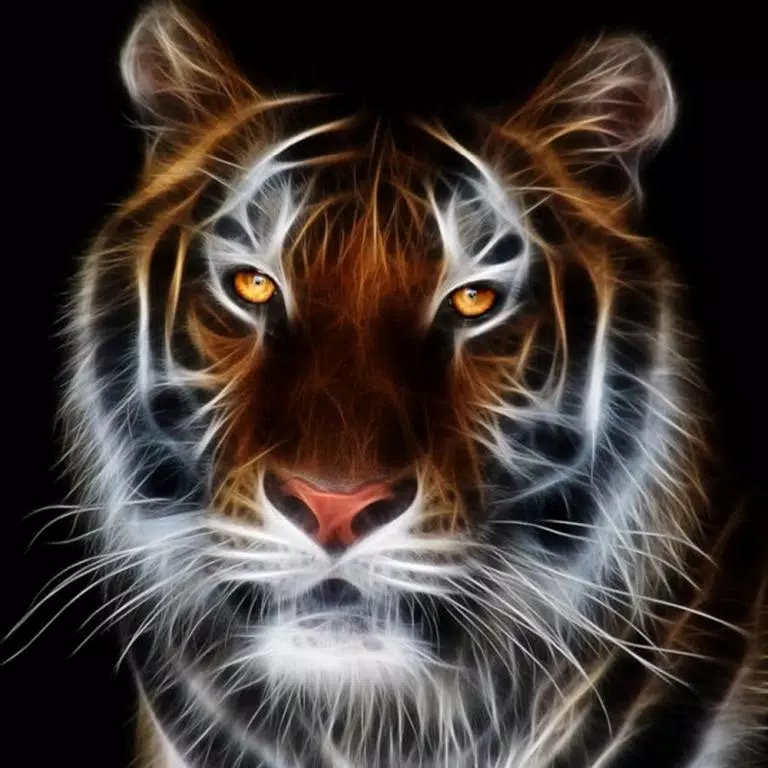 tiger face wallpaper hd