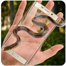 Serpente em Tela - Assustador Engraçado Móvel APK