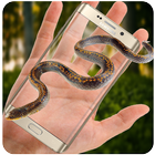 Serpiente en Pantalla - De miedo Gracioso Móvil T icono