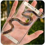 Serpent sur Écran - Effrayant Drôle Mobile Crawler icône