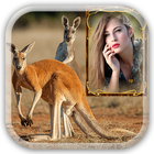 Kangaroo Photo Frames icône