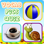 Easy Vocabulary PICs Quiz