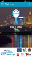 Birds of Vistula River Affiche