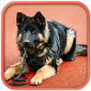 Fantastisch Politie Hond-APK
