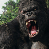 Mad Gorilla Simulator icône
