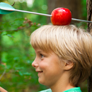 echt appel schutter 2015-APK