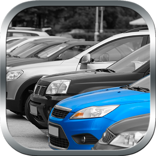 Real Backyard Car Parking