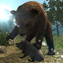 gerçek ayı simülatör APK