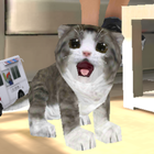 Immobilier Cat simulateur icône