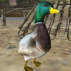 réal canard simulateur icône