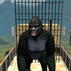 آیکون‌ Real Gorilla Simulator