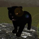 vero panther cub simulatore