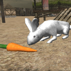 Lapin réel Simulator icône