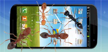 Ant run in phone funny joke