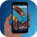 Cockroach run on screen prank APK