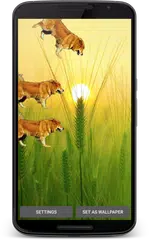 Descargar APK de Cute dog live wallpaper