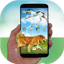 Dog in phone funny joke APK