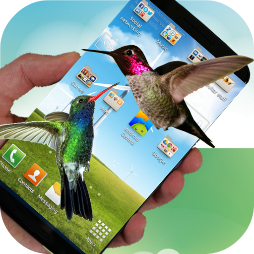 Hummingbird live wallpaper