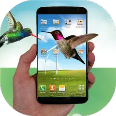 Hummingbird fly in phone prank