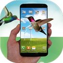 Hummingbird fly in phone prank APK