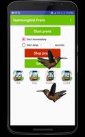 Hummingbird fly in phone prank capture d'écran 2